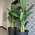 公寓 Casa Da 
